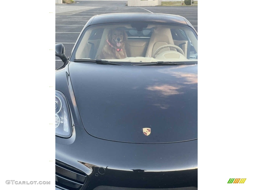 2014 Cayman  - Black / Luxor Beige photo #26