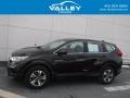 2019 Crystal Black Pearl Honda CR-V LX AWD  photo #2