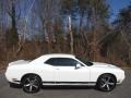 2019 White Knuckle Dodge Challenger SXT  photo #5