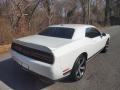 2019 White Knuckle Dodge Challenger SXT  photo #6