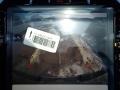 Granite Crystal Metallic - 1500 Laramie Crew Cab 4x4 Photo No. 19