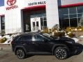 Midnight Black Metallic - RAV4 Adventure AWD Photo No. 2