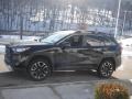 Midnight Black Metallic - RAV4 Adventure AWD Photo No. 12