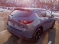 Polymetal Gray Metallic - CX-5 S Carbon Edition AWD Photo No. 2