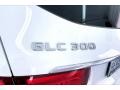 Polar White - GLC 300 Photo No. 31