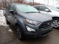 2019 Smoke Metallic Ford EcoSport SES 4WD  photo #2