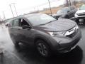 Modern Steel Metallic - CR-V LX AWD Photo No. 5
