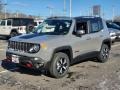 Sting-Gray - Renegade Trailhawk 4x4 Photo No. 1