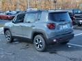 Sting-Gray - Renegade Trailhawk 4x4 Photo No. 4