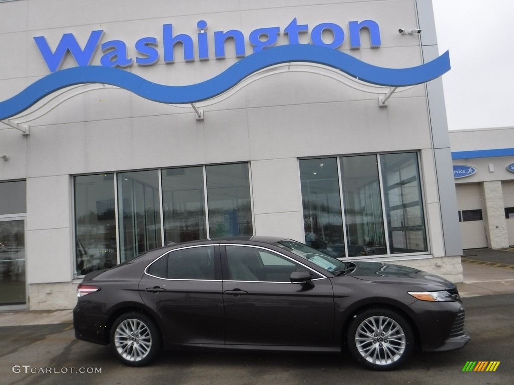 2019 Camry XLE - Predawn Gray Mica / Black photo #2