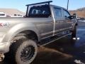 Magnetic - F350 Super Duty XL Crew Cab 4x4 Photo No. 18