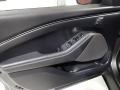 Black Onyx Door Panel Photo for 2021 Ford Mustang Mach-E #143700606