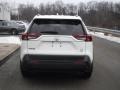 2019 Super White Toyota RAV4 LE AWD  photo #15