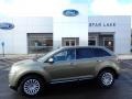 Ginger Ale 2013 Lincoln MKX AWD