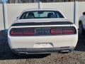 White Knuckle - Challenger SXT Photo No. 3