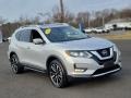 Brilliant Silver Metallic - Rogue SL AWD Photo No. 15