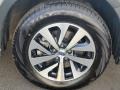 Ice Silver Metallic - Outback 2.5i Premium Photo No. 22