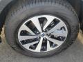 Ice Silver Metallic - Outback 2.5i Premium Photo No. 36
