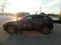 Machine Gray Metallic - CX-30 S Preferred AWD Photo No. 6