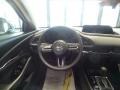 Red Steering Wheel Photo for 2022 Mazda CX-30 #143734184
