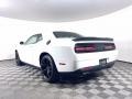 White Knuckle - Challenger SXT Plus Photo No. 5