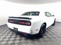 White Knuckle - Challenger SXT Plus Photo No. 7