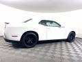 White Knuckle - Challenger SXT Plus Photo No. 8