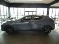 Polymetal Gray Metallic - Mazda3 Carbon Edition Hatchback Photo No. 6