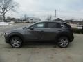 Machine Gray Metallic - CX-30 S Premium AWD Photo No. 6