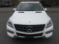 Polar White - ML 350 4Matic Photo No. 5