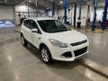 White Platinum - Escape Titanium 1.6L EcoBoost Photo No. 2