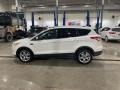 White Platinum - Escape Titanium 1.6L EcoBoost Photo No. 8