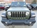 Sarge Green - Wrangler Unlimited Sport 4x4 Photo No. 9