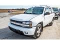 Summit White - TrailBlazer LS 4x4 Photo No. 8