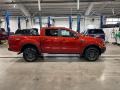 2019 Hot Pepper Red Metallic Ford Ranger XLT SuperCrew 4x4  photo #6