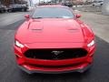 2019 Race Red Ford Mustang GT Premium Fastback  photo #7