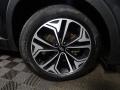 Portofino Gray - Santa Fe Limited 2.0 AWD Photo No. 43