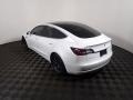 Pearl White Multi-Coat - Model 3 Long Range Photo No. 16