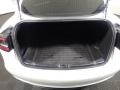 Pearl White Multi-Coat - Model 3 Long Range Photo No. 19