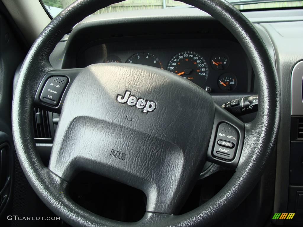 2004 Grand Cherokee Laredo 4x4 - Graphite Metallic / Dark Slate Gray photo #17