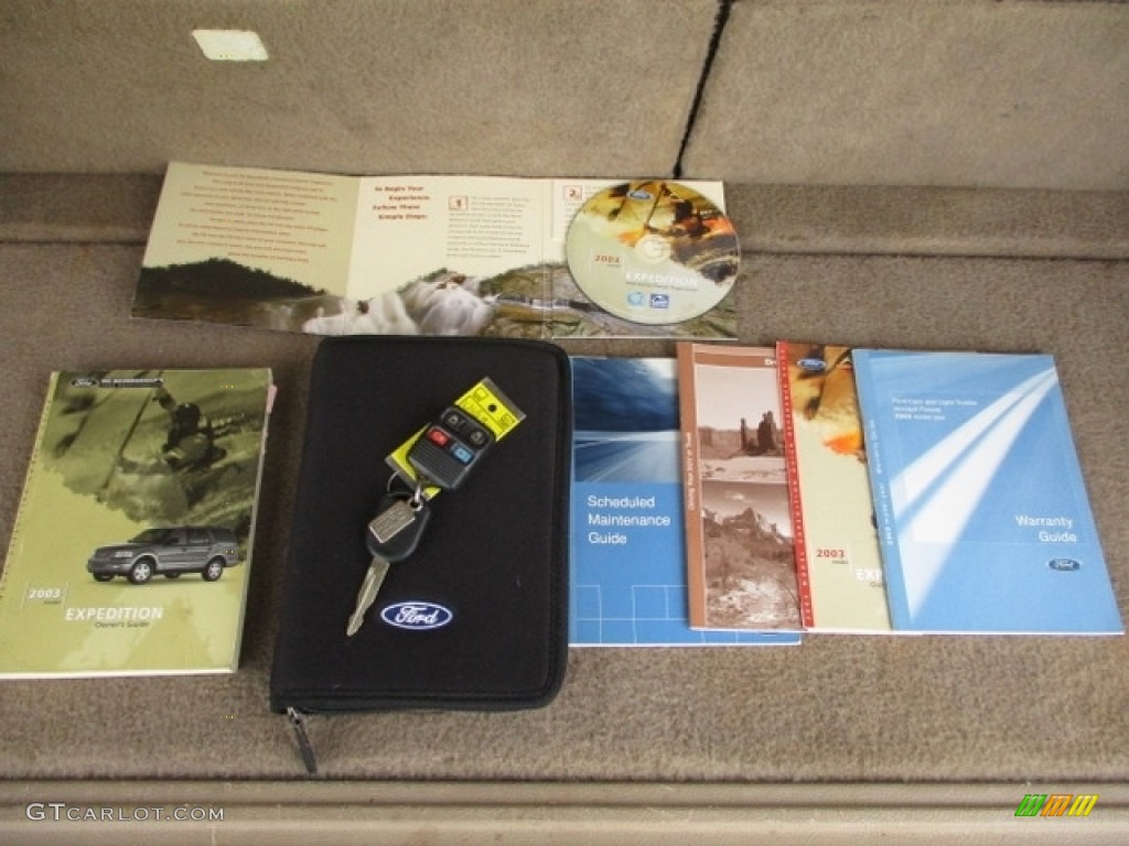 2003 Expedition Eddie Bauer - Medium Wedgewood Blue Metallic / Medium Parchment photo #23