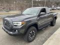 Magnetic Gray Metallic 2022 Toyota Tacoma TRD Off Road Access Cab 4x4 Exterior