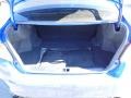 WR Blue Pearl - WRX  Photo No. 13