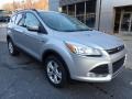 Ingot Silver Metallic - Escape SE 4WD Photo No. 9