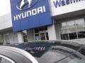 2020 Becketts Black Hyundai Palisade Limited AWD  photo #3