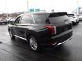 2020 Becketts Black Hyundai Palisade Limited AWD  photo #9