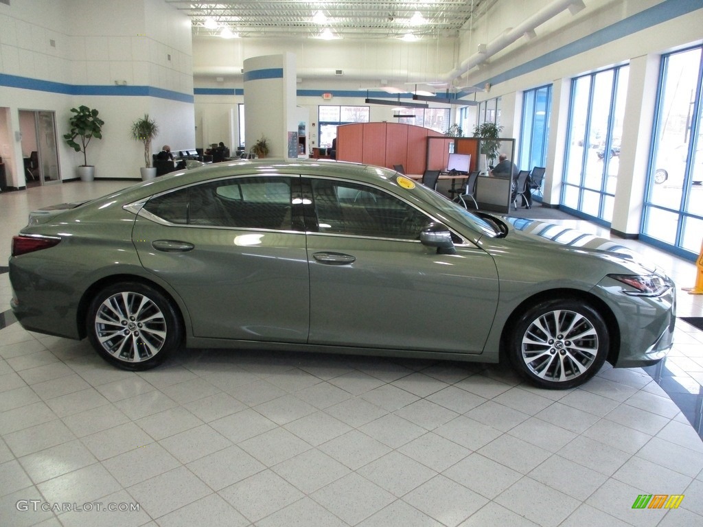 2019 ES 350 - Sunlit Green / Chateau photo #4