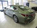 Sunlit Green - ES 350 Photo No. 9