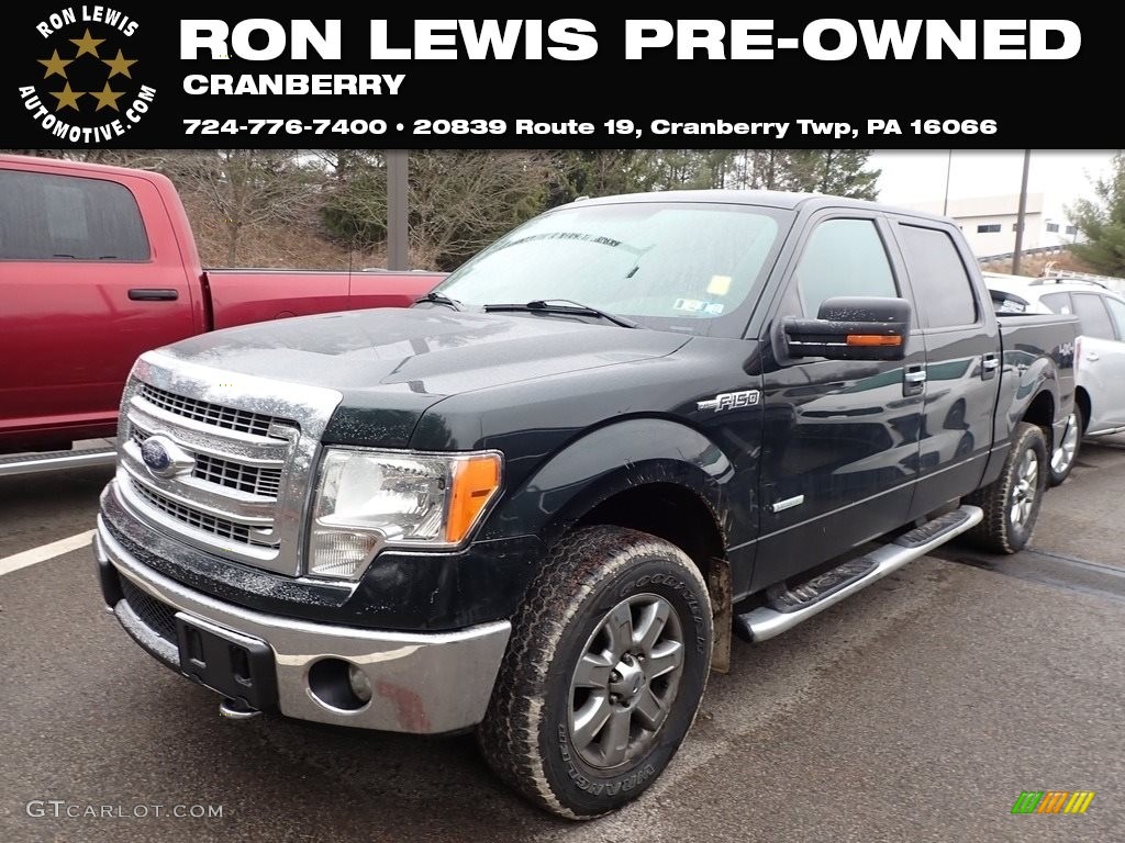 2013 F150 XLT SuperCrew 4x4 - Green Gem Metallic / Steel Gray photo #1