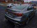 Steel Gray - Forte GT Photo No. 2